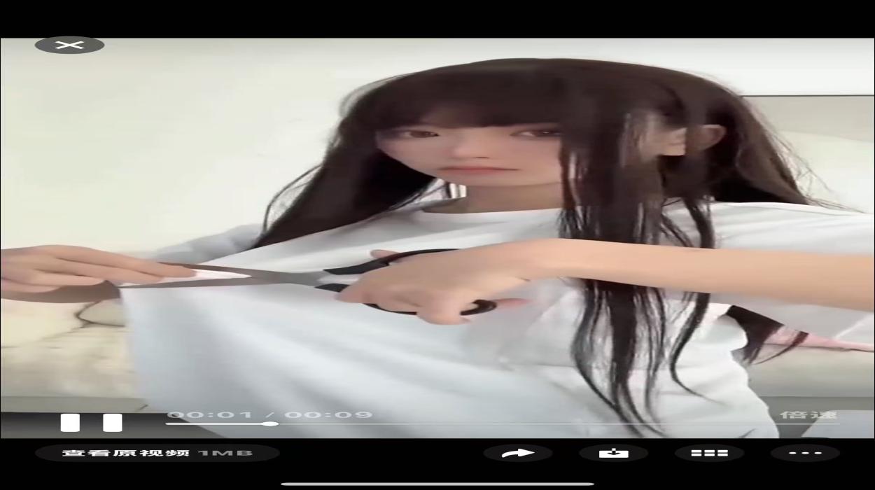 Playlist Image
