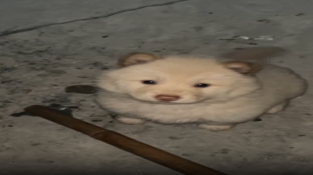 Playlist Image