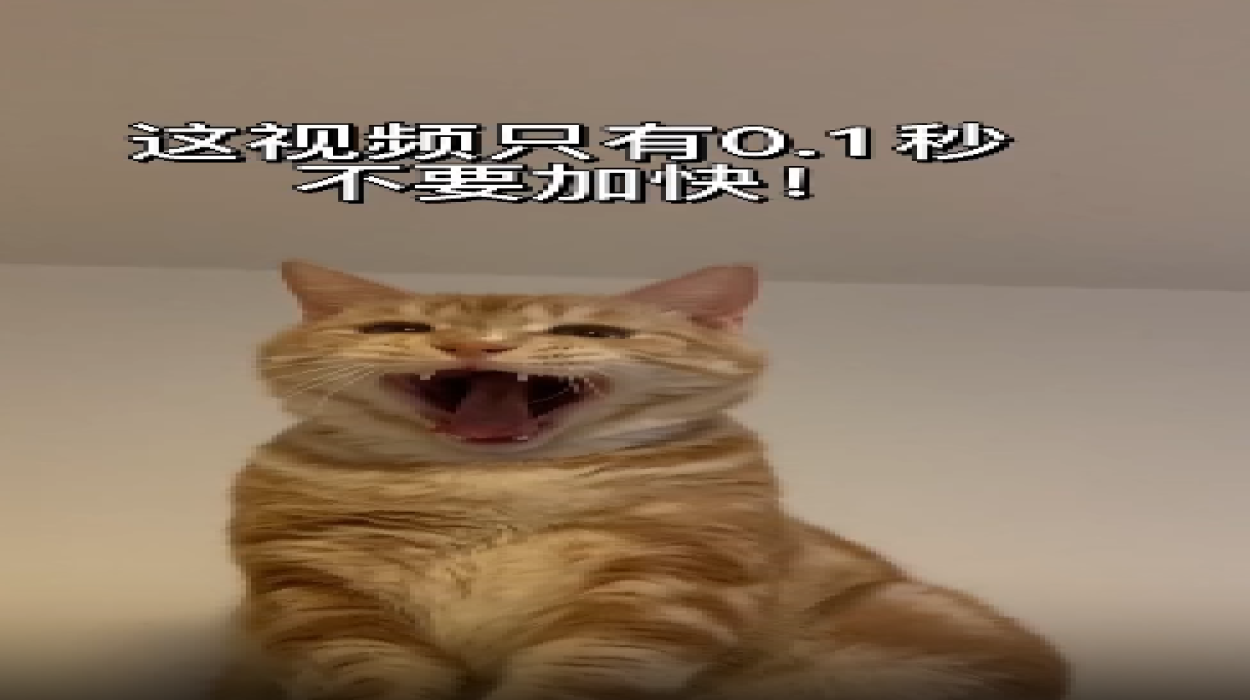 Playlist Image
